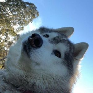 Meet your Posher, Chloe